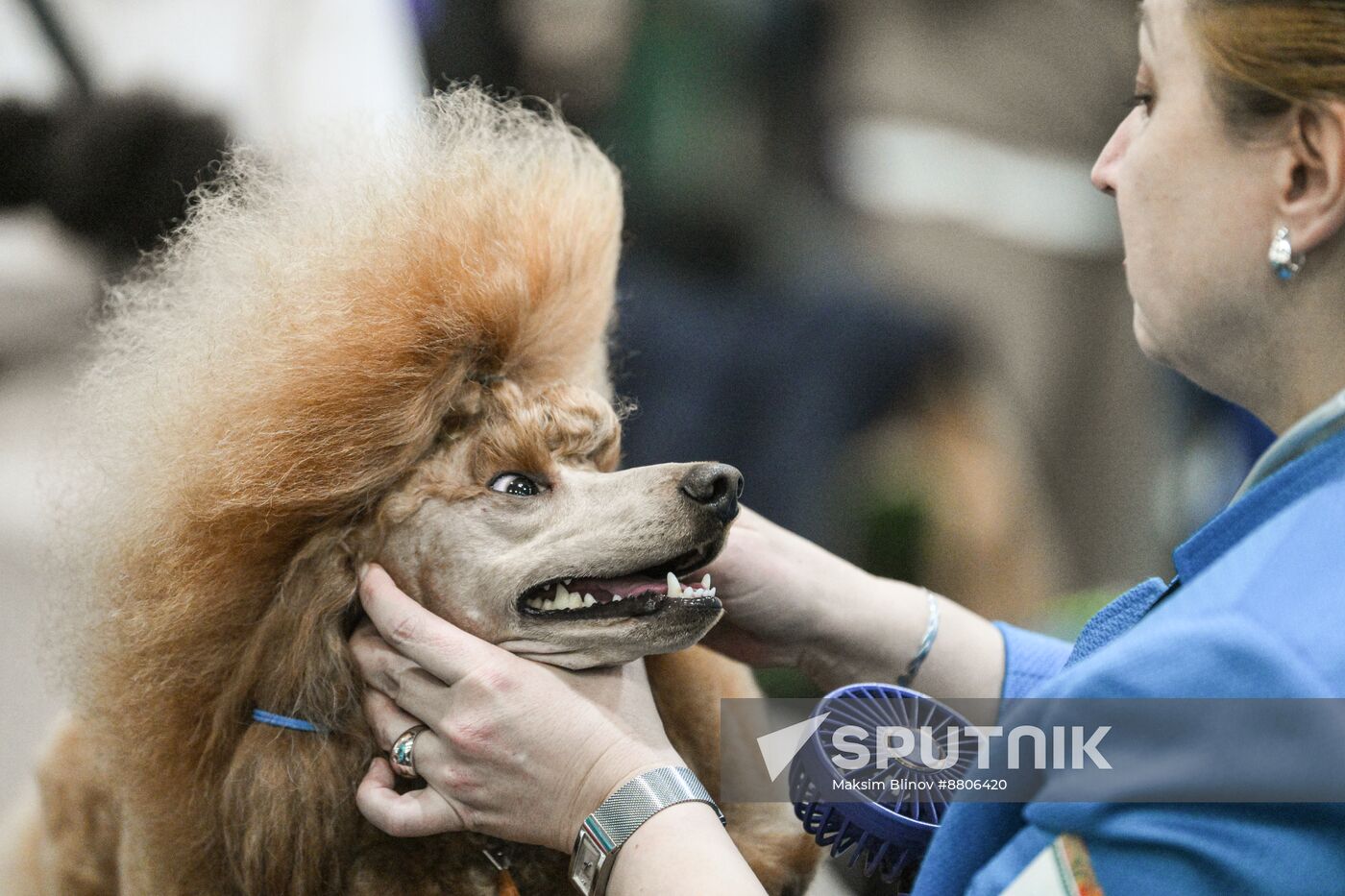 Russia Dog Show