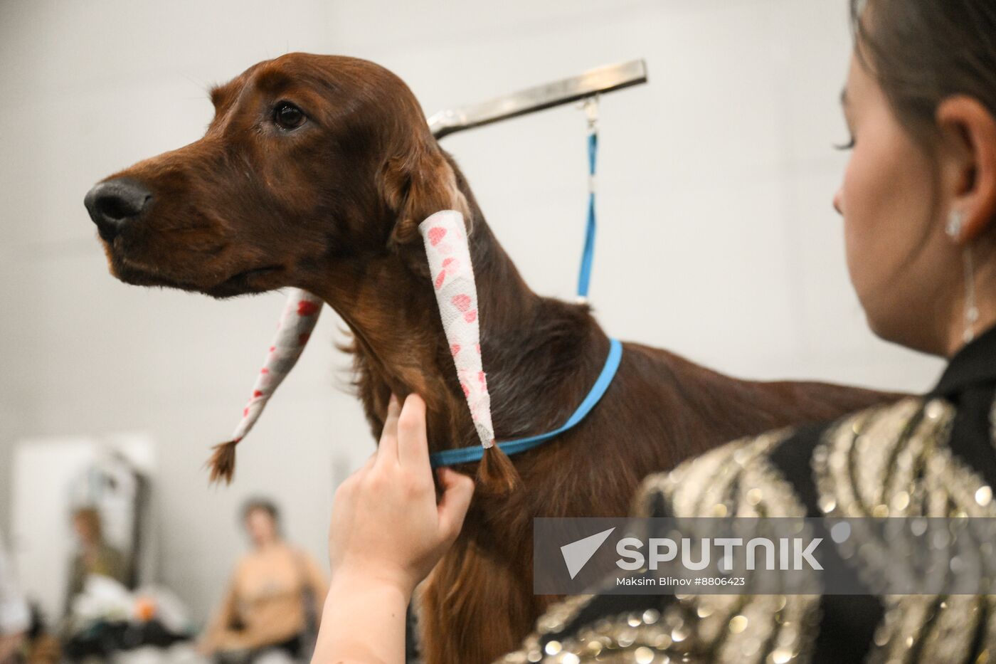 Russia Dog Show