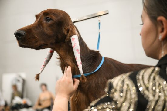 Russia Dog Show