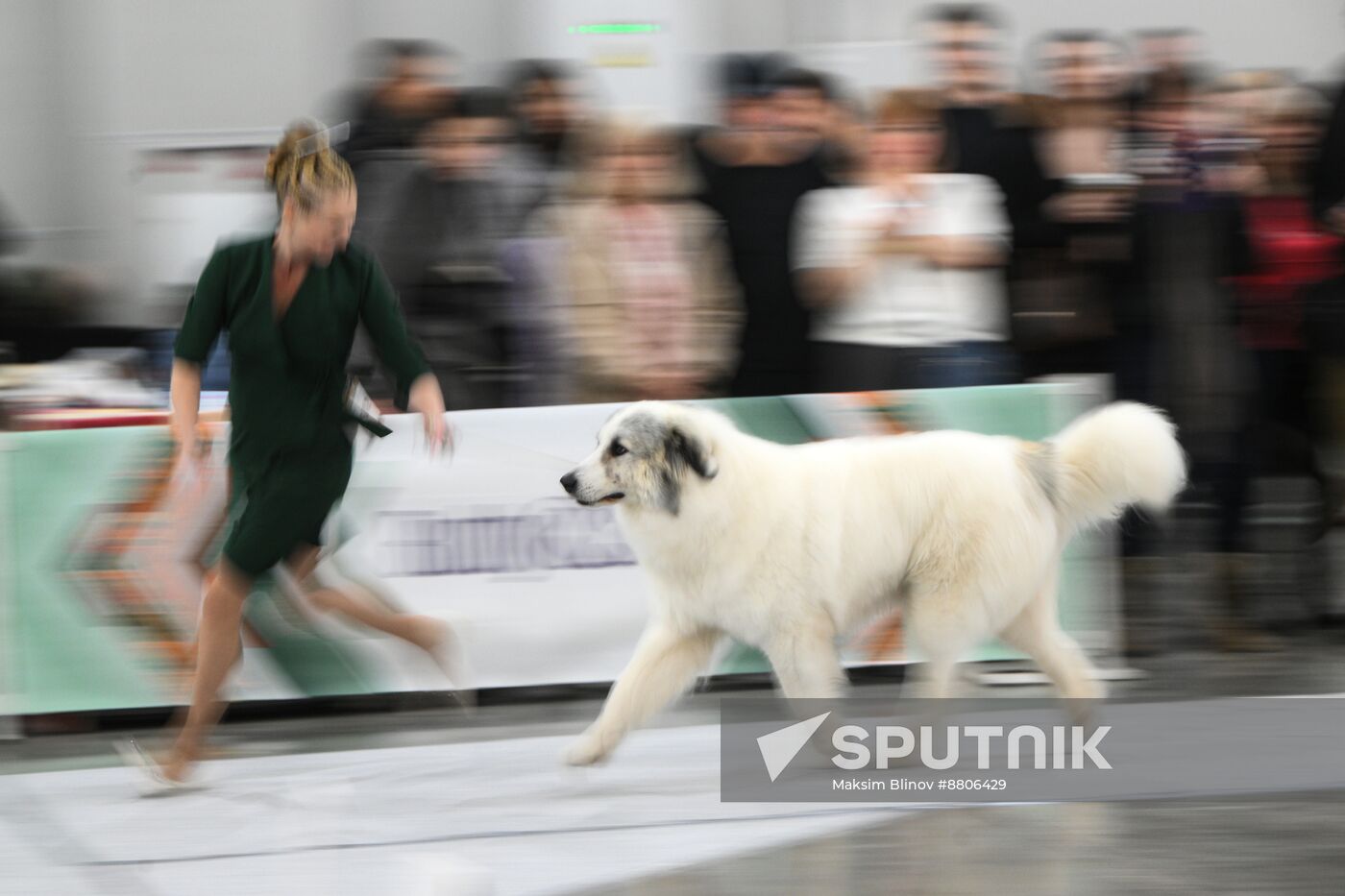 Russia Dog Show