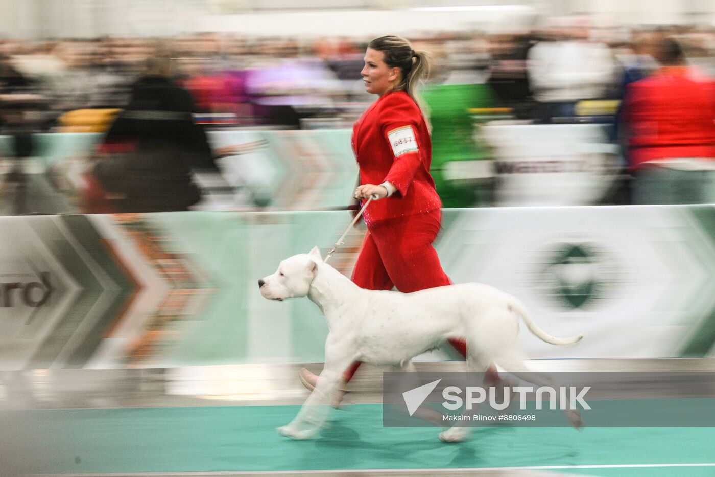 Russia Dog Show