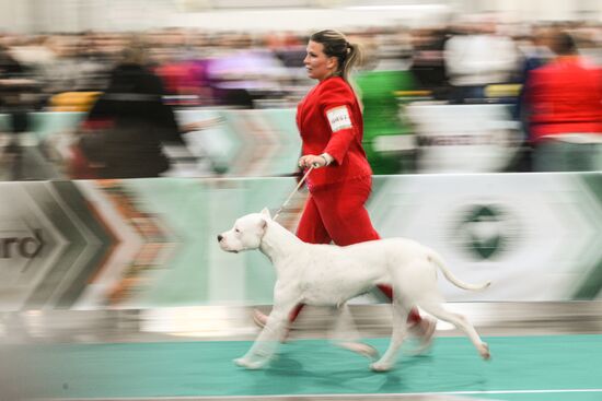 Russia Dog Show