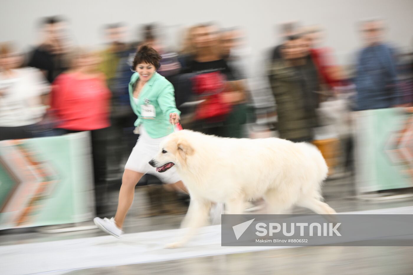 Russia Dog Show