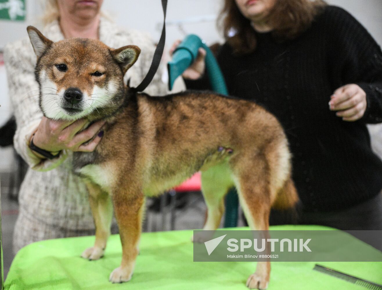 Russia Dog Show