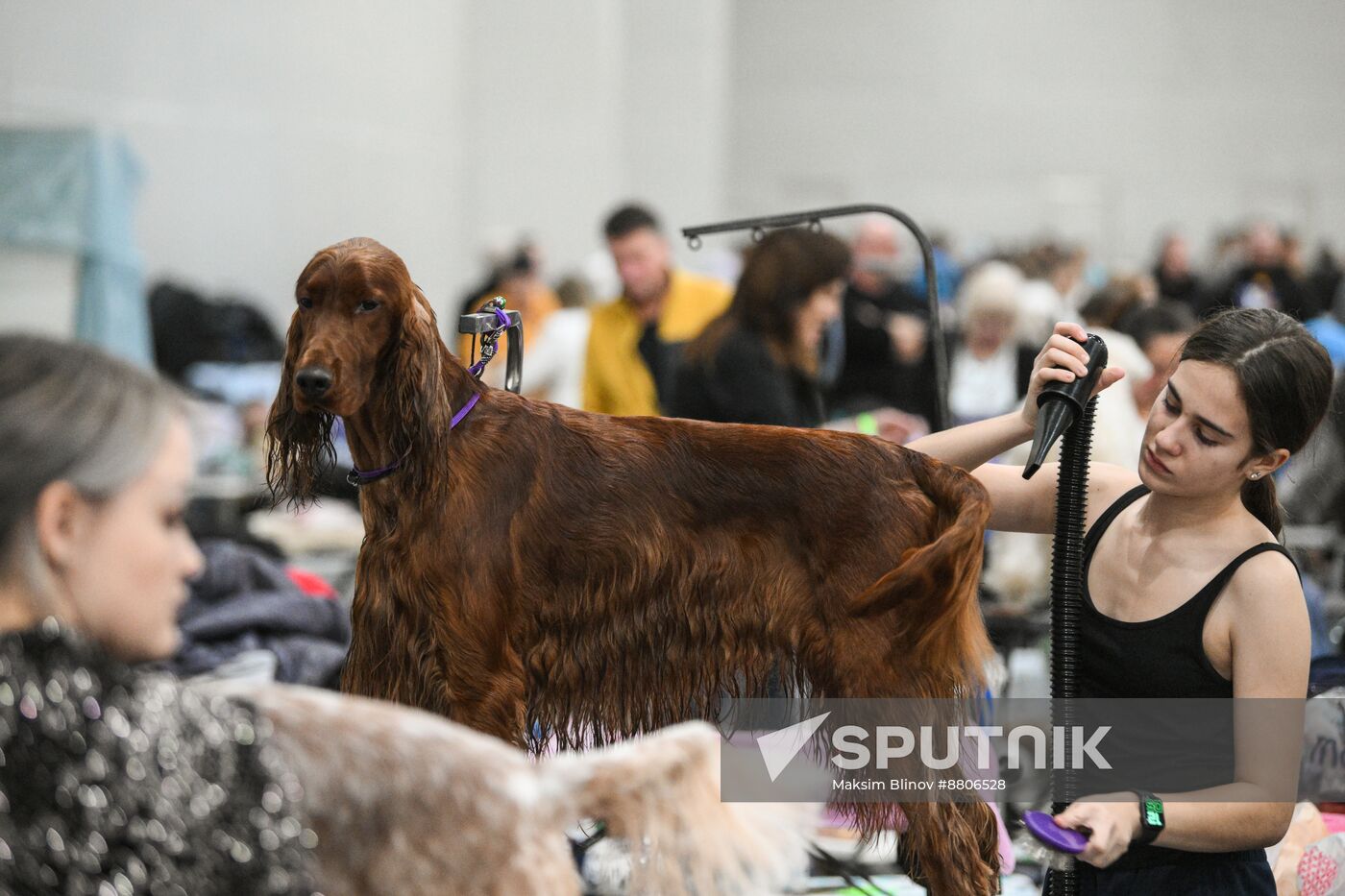 Russia Dog Show