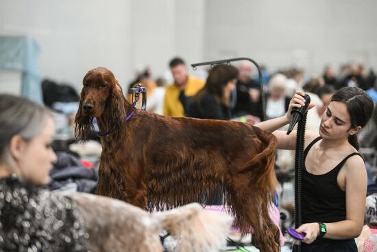 Russia Dog Show