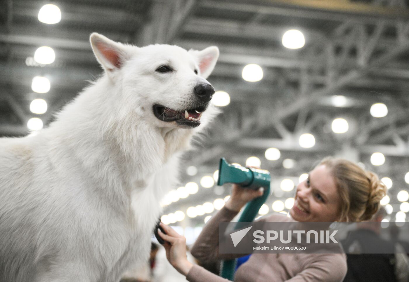 Russia Dog Show