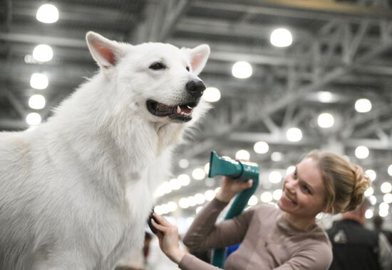 Russia Dog Show