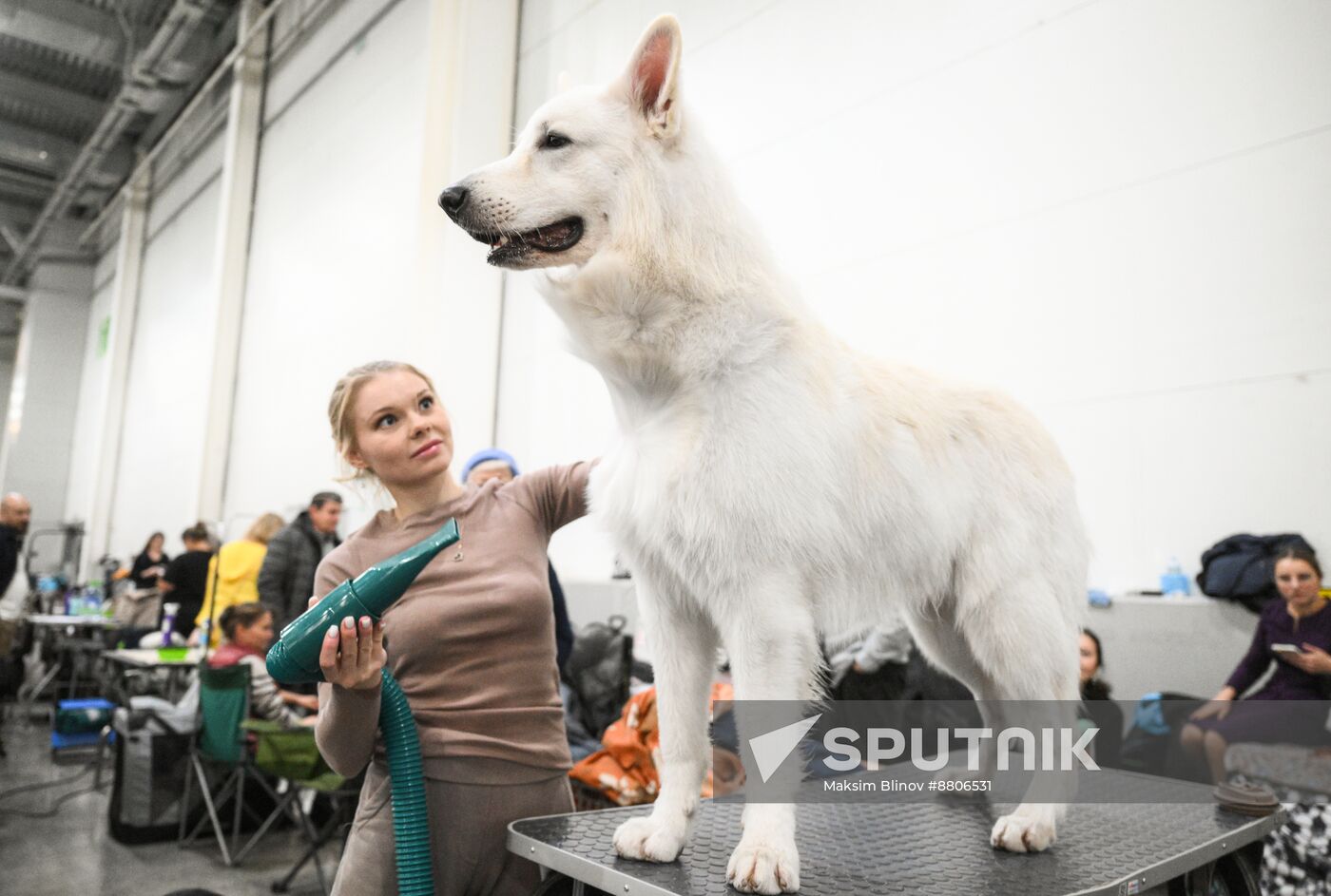 Russia Dog Show