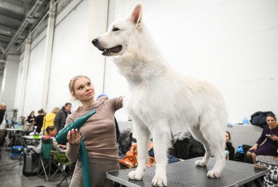 Russia Dog Show