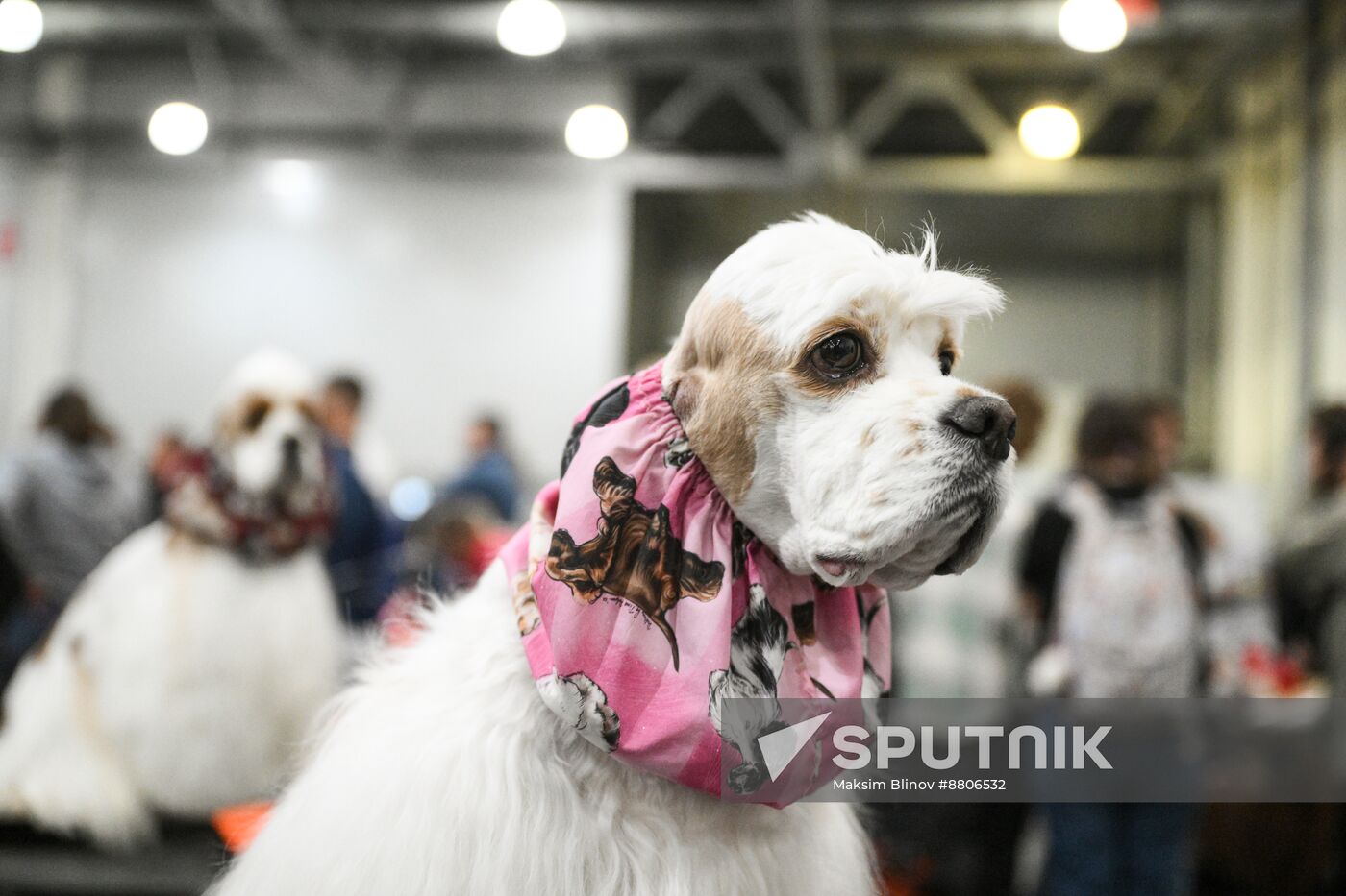 Russia Dog Show