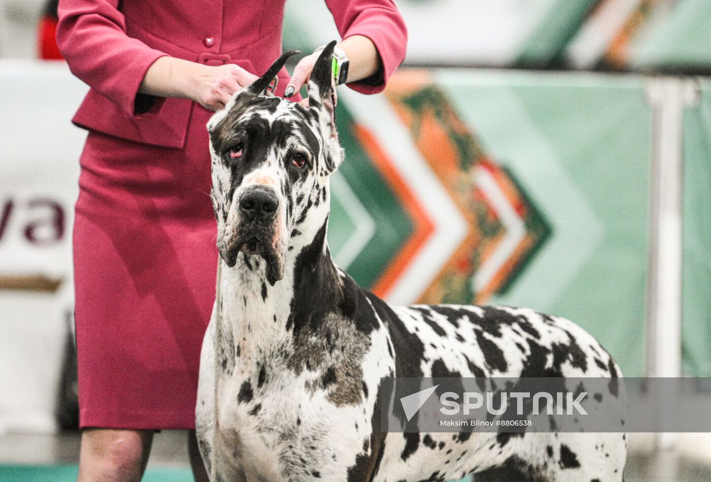 Russia Dog Show