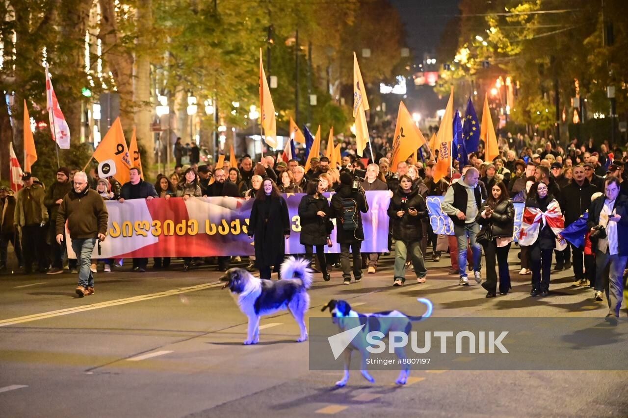 Georgia Protests