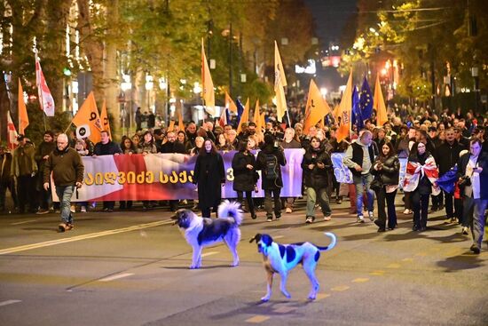 Georgia Protests