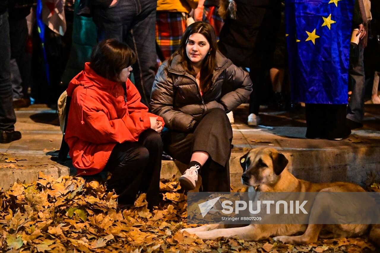 Georgia Protests