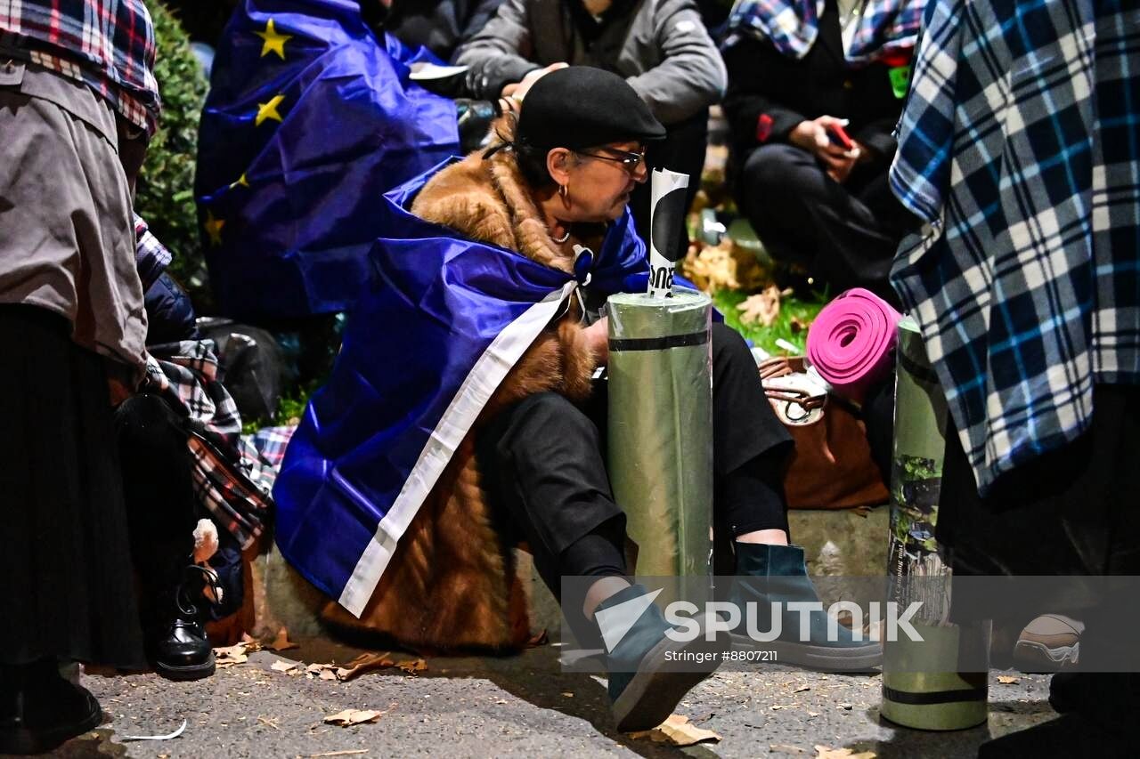 Georgia Protests