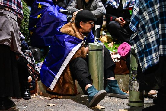 Georgia Protests