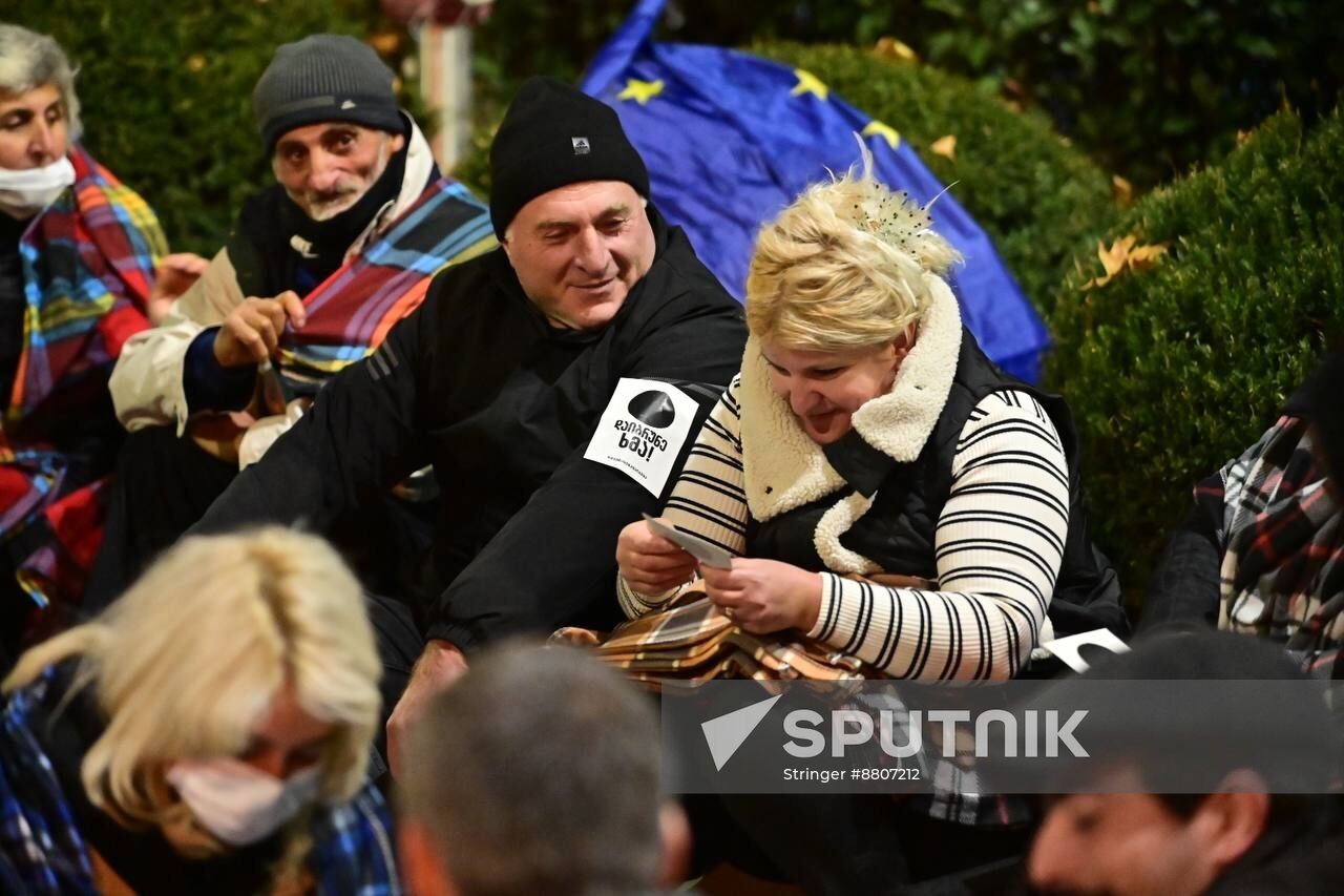 Georgia Protests