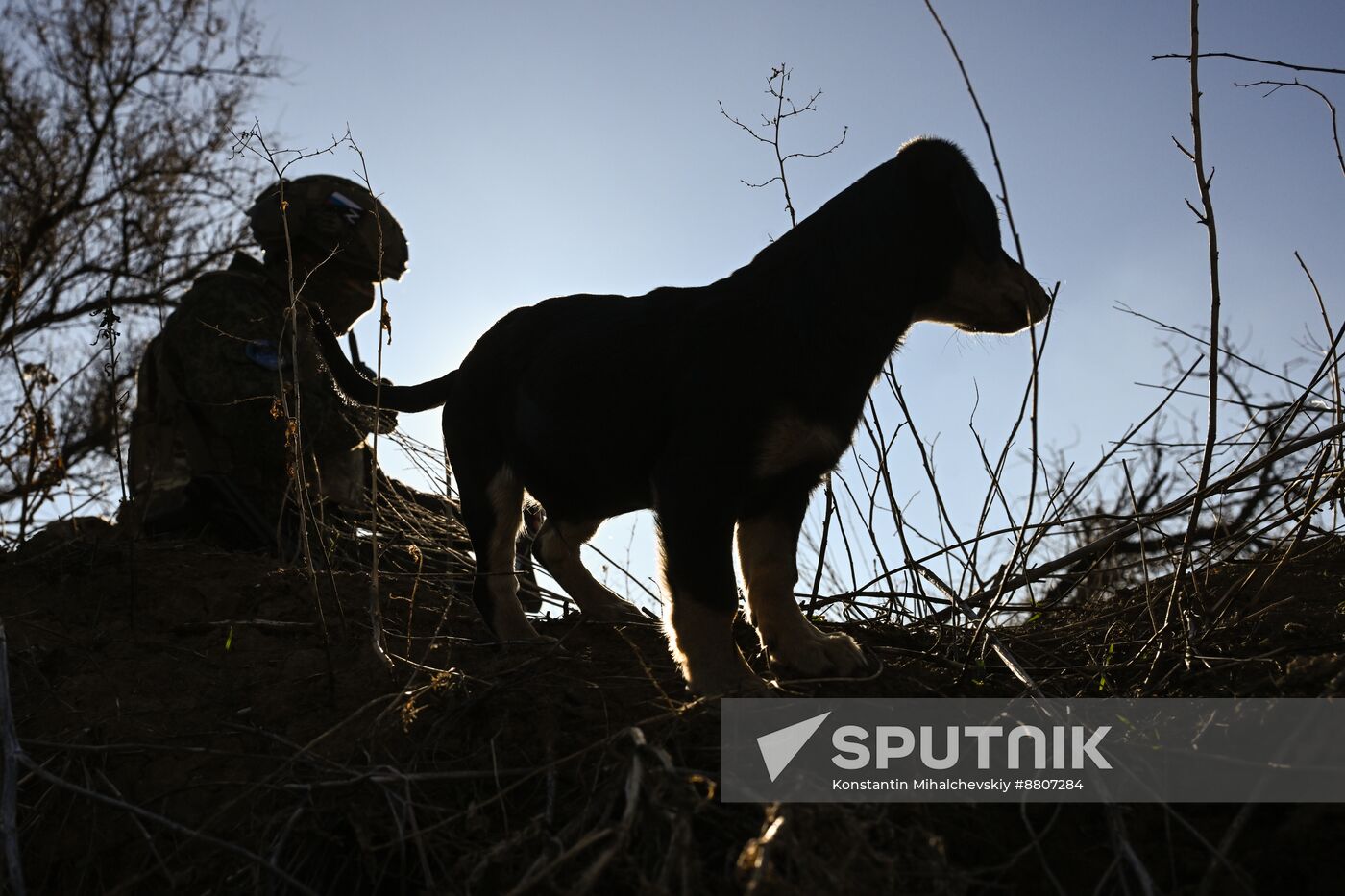 Russia Ukraine Military Operation Anti-Drone Unit