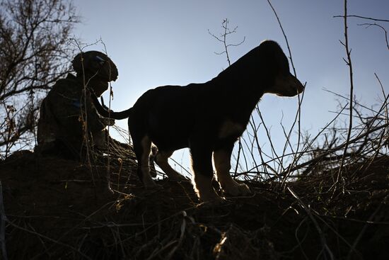 Russia Ukraine Military Operation Anti-Drone Unit