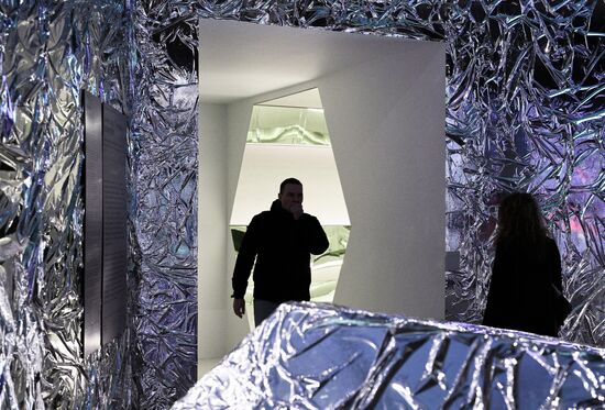 Russia Art Ice Life Exhibition