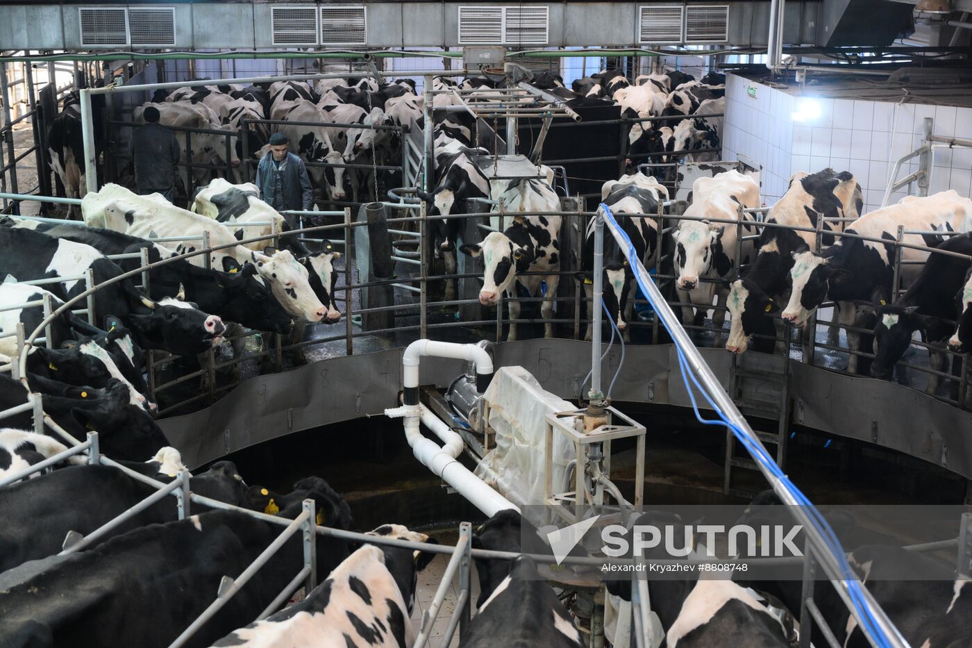 Russia Dairy Industry