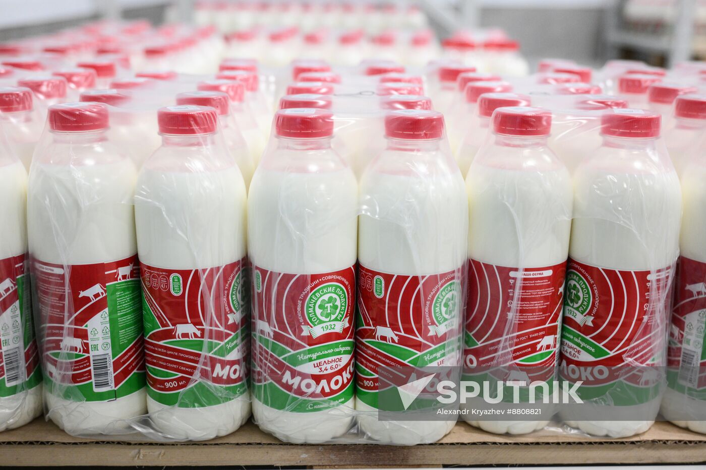 Russia Dairy Industry