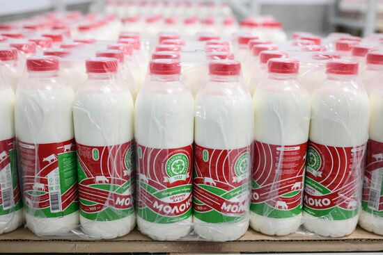 Russia Dairy Industry