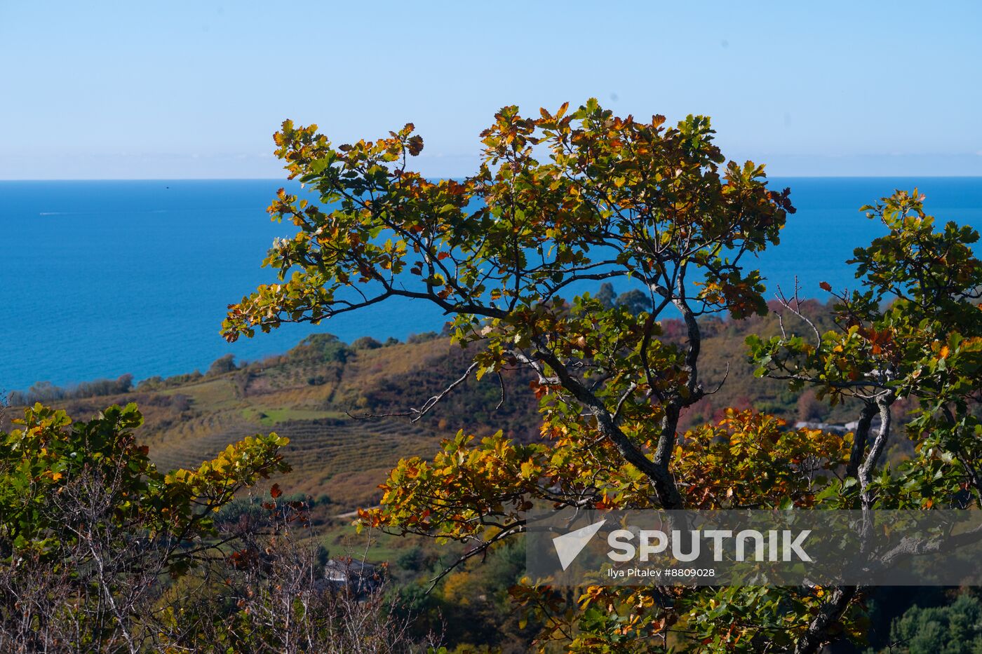 Abkhazia Tourism