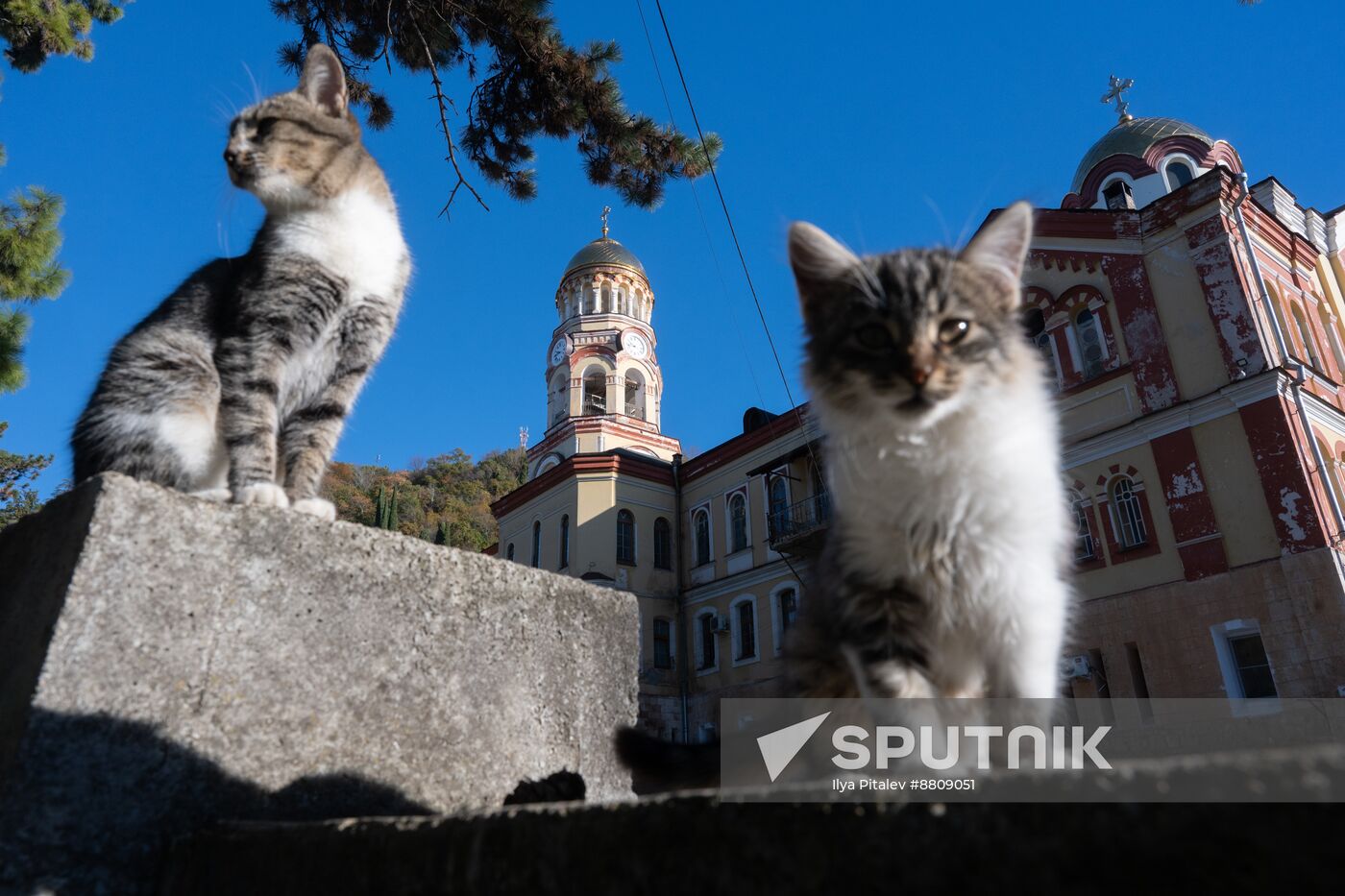 Abkhazia Tourism