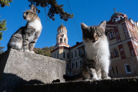 Abkhazia Tourism