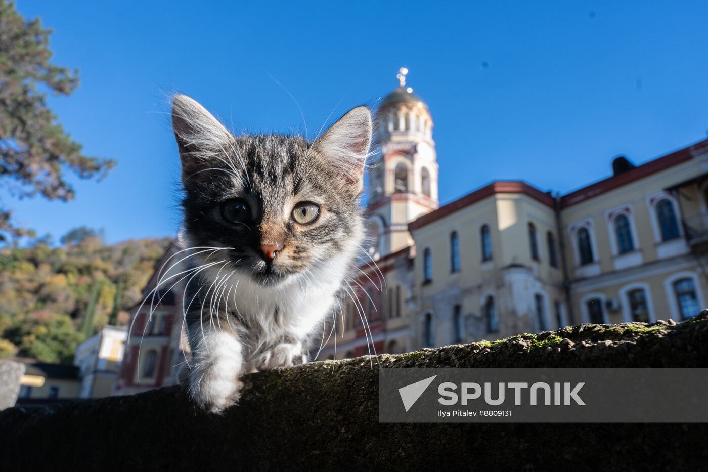 Abkhazia Tourism