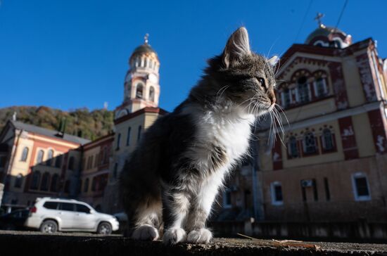 Abkhazia Tourism