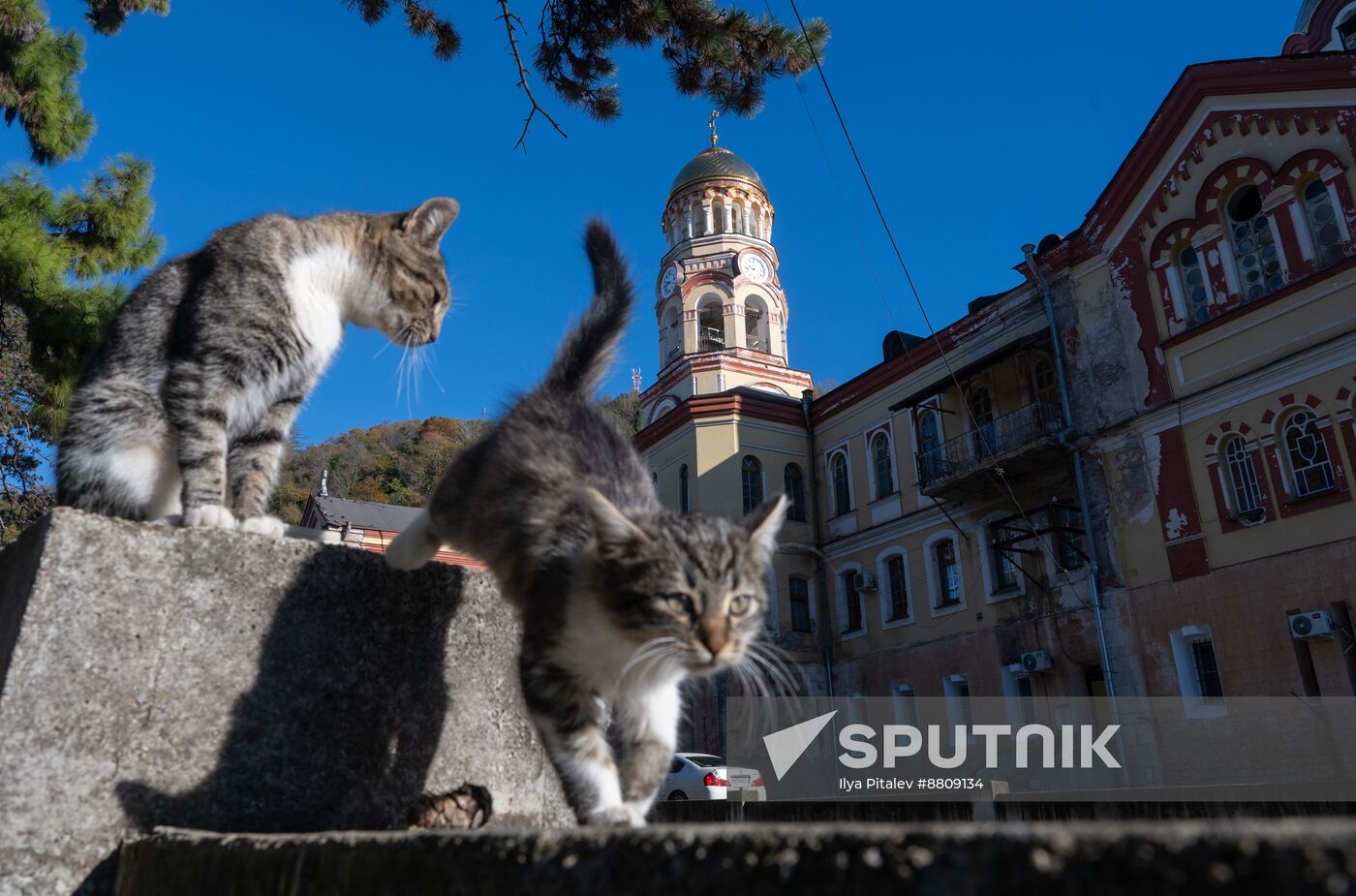 Abkhazia Tourism