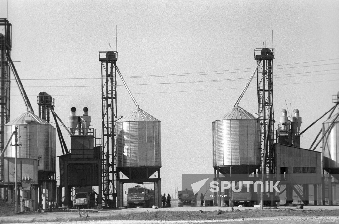 Novosanzharovsky state farm in Russko-Polyansky District, Omsk Region