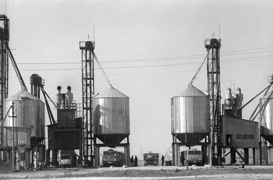 Novosanzharovsky state farm in Russko-Polyansky District, Omsk Region