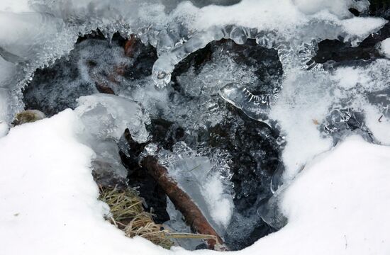 Russia Environment