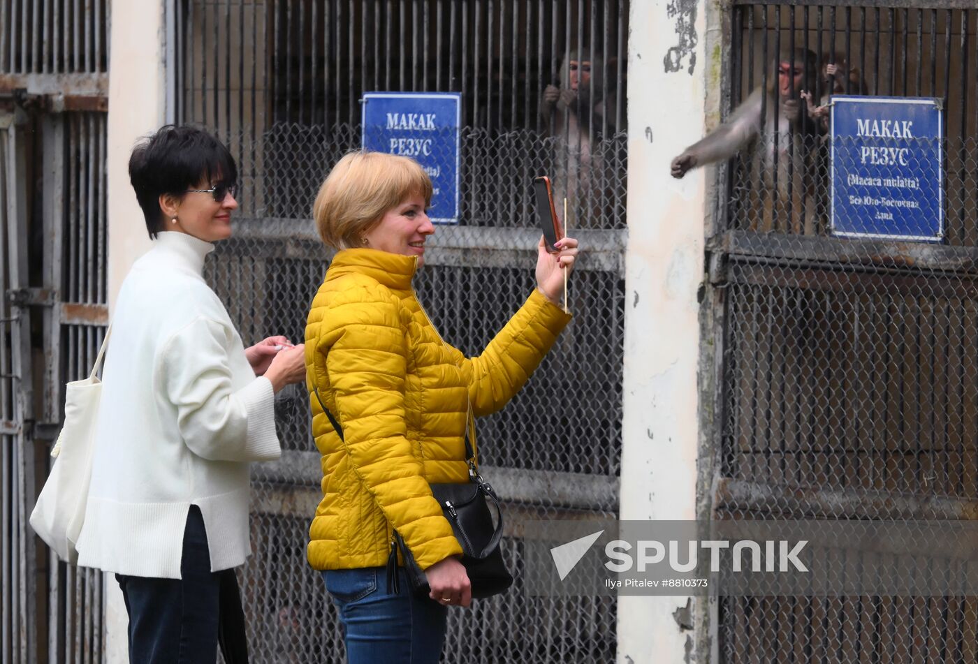 Abkhazia Monkey Nursery