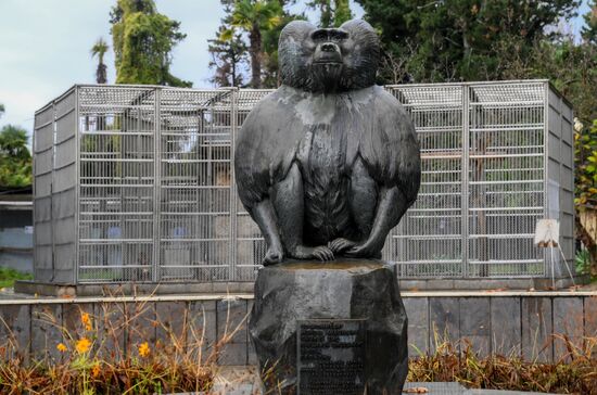 Abkhazia Monkey Nursery