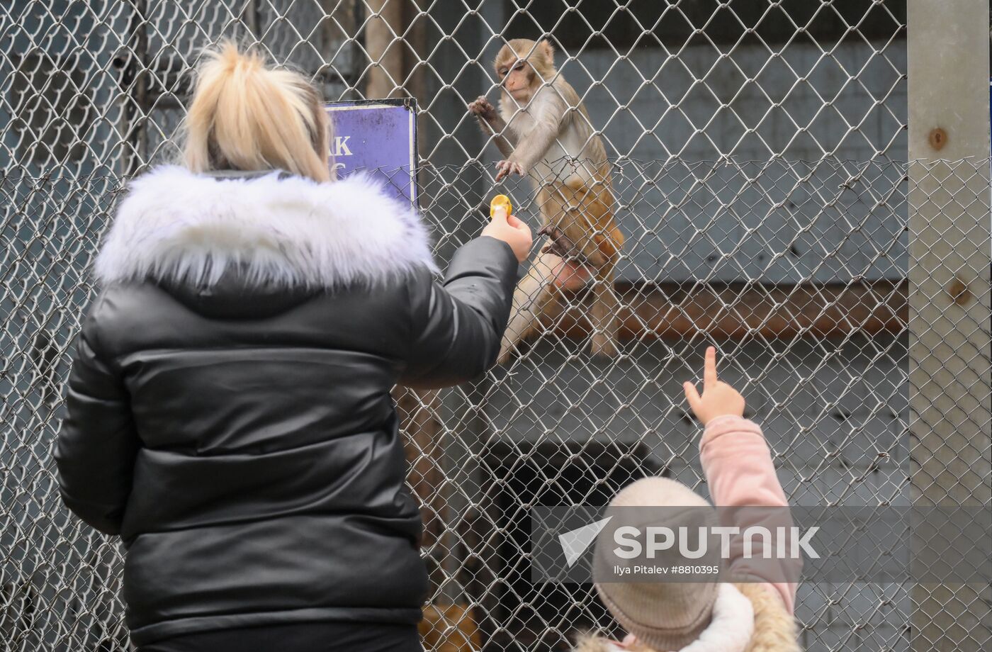 Abkhazia Monkey Nursery