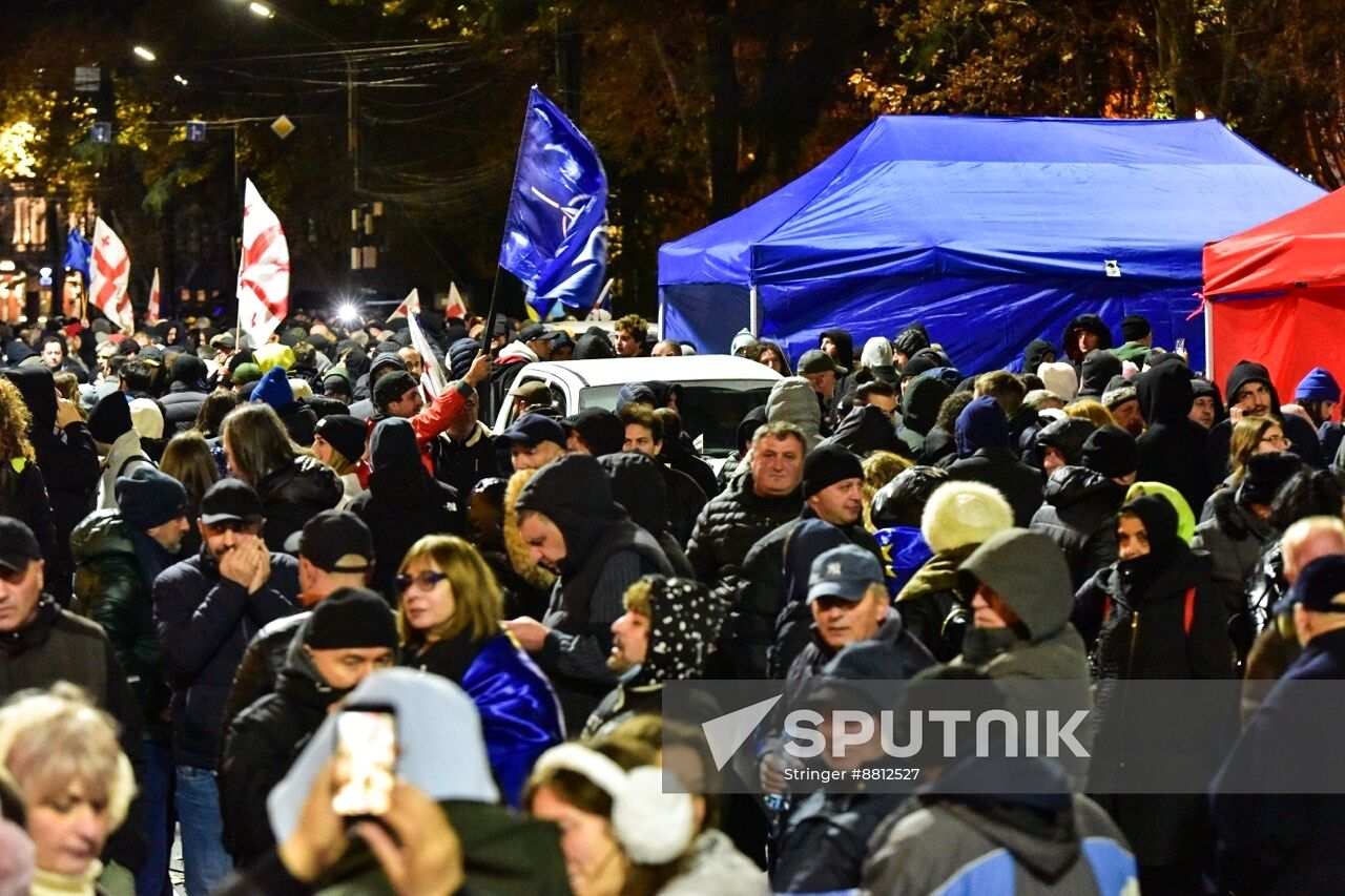 Georgia Protests