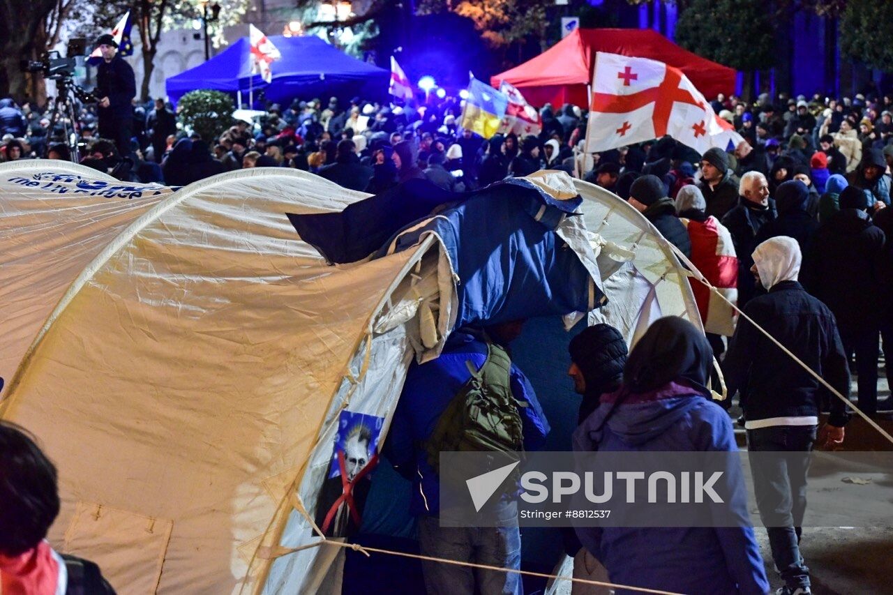 Georgia Protests