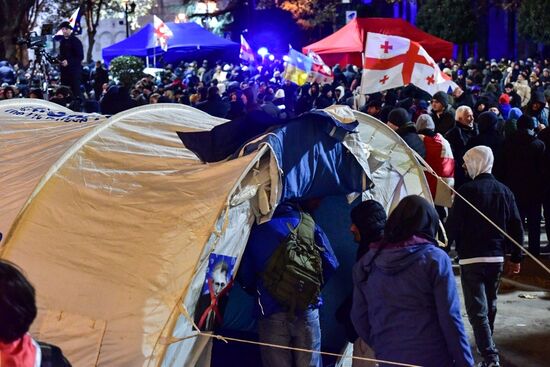 Georgia Protests