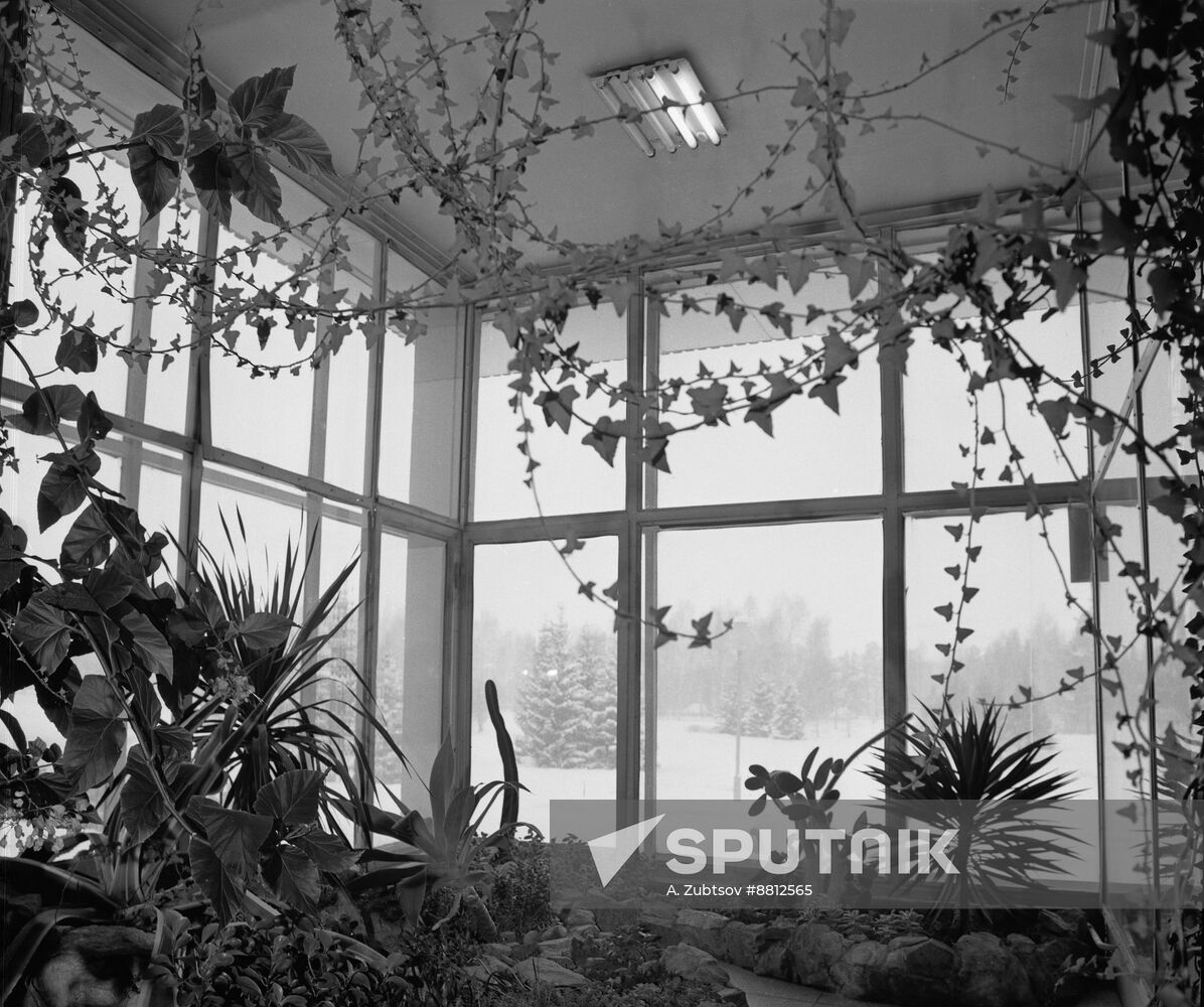Greenhouse of Siberian Botanical Garden