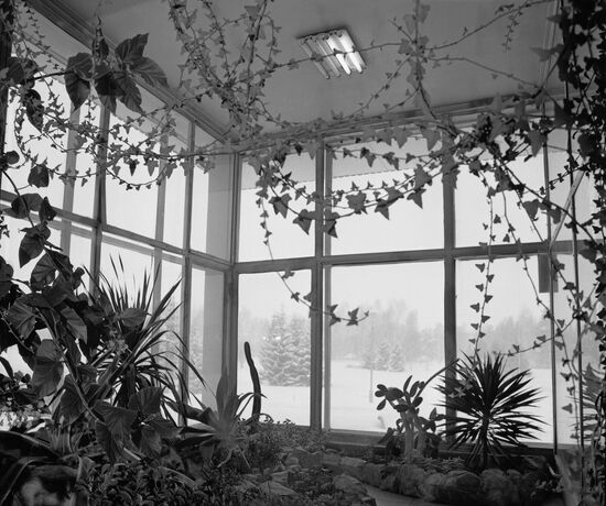 Greenhouse of Siberian Botanical Garden