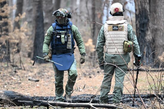 Russia Ukraine Kursk Attack Demining