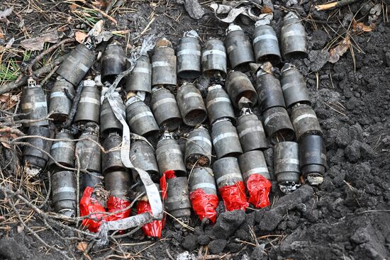 Russia Ukraine Kursk Attack Demining