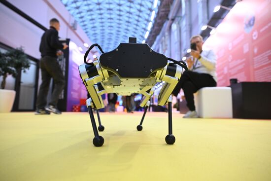 The 4th Young Scientists Congress Location: Russia, Federal territory 'Sirius'. Author: Sergey Bobylev. 4th Young Scientists Congress