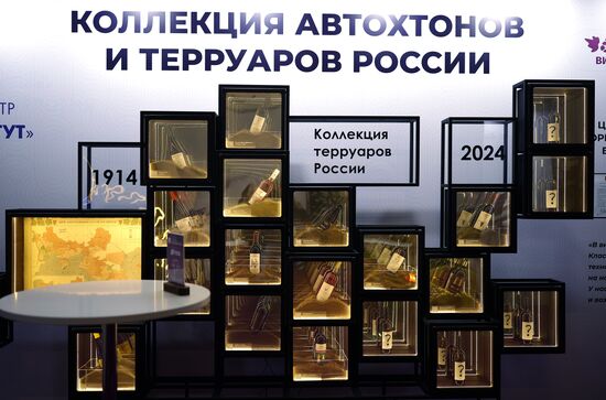 The 4th Young Scientists Congress. Location: Russia, Federal territory 'Sirius'. Author: Vitaly Timkiv. 4th Young Scientists Congress