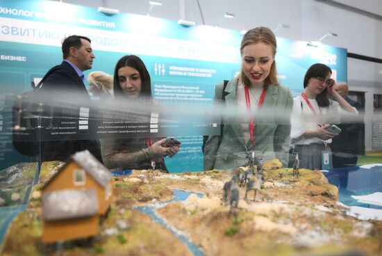 The 4th Young Scientists Congress. Location: Russia, Federal territory 'Sirius'. Author: Pelagiya Tikhonova. 4th Young Scientists Congress